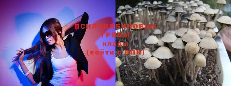 Галлюциногенные грибы MAGIC MUSHROOMS  хочу   Адыгейск 